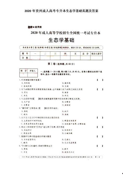 贵州成人高考复习视频,视频课程精华解析